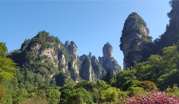 威勤企業團建：張家界+鳳凰古城之旅